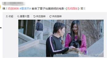 有没有娱乐截图,捕捉光影中的欢乐瞬间