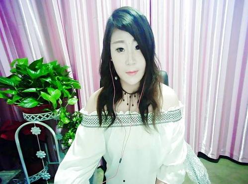 网红一只梅,揭秘网络红人的魅力与影响力