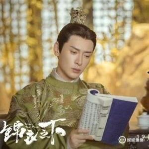 锦衣之下身份背景,揭秘神秘锦衣卫的传奇人生