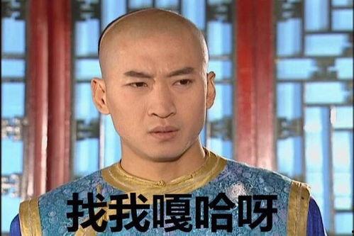 尔康表情包台词,笑谈人生百态，演绎经典台词