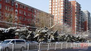 大卫城,古以色列的辉煌与传奇