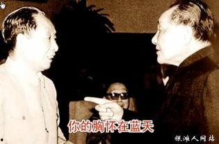 好大一棵树 创作背景,探寻生命之源的绿色传奇