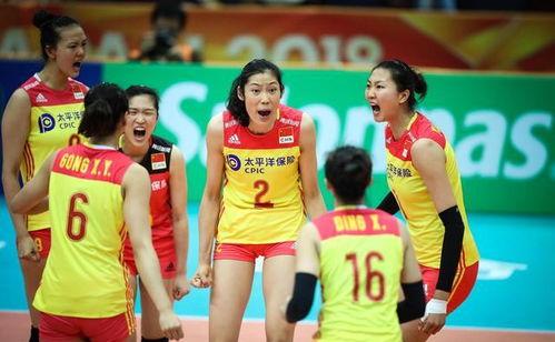 明星 女排,明星风采熠熠生辉