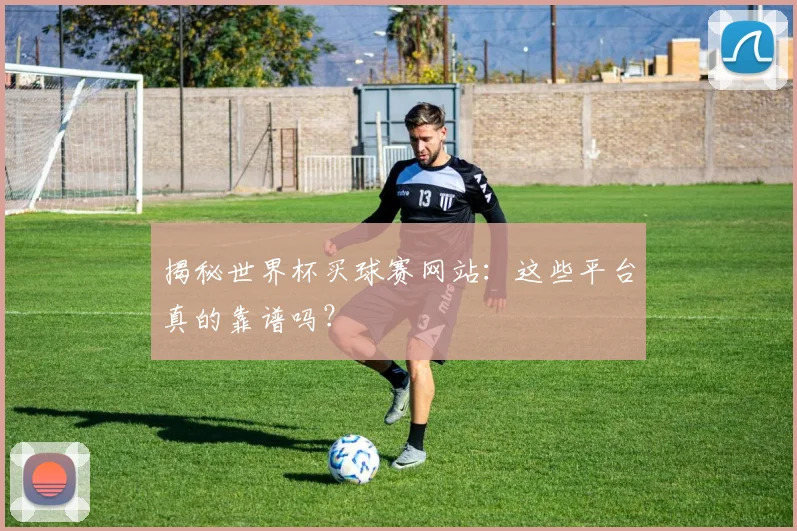 揭秘世界杯买球赛网站：这些平台真的靠谱吗？