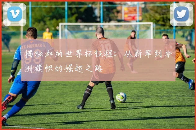 揭秘加纳世界杯征程：从新军到非洲旗帜的崛起之路