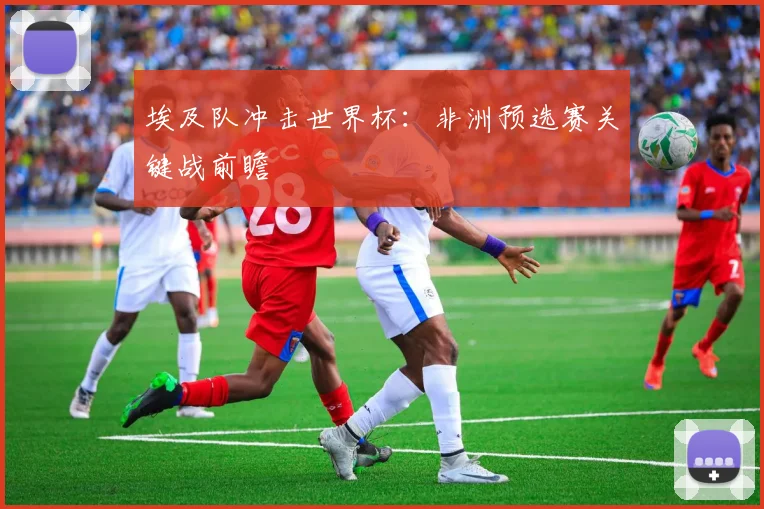 埃及队冲击世界杯：非洲预选赛关键战前瞻